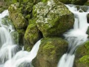 Zašto su banje najveći ponos turizma u Srbiji?