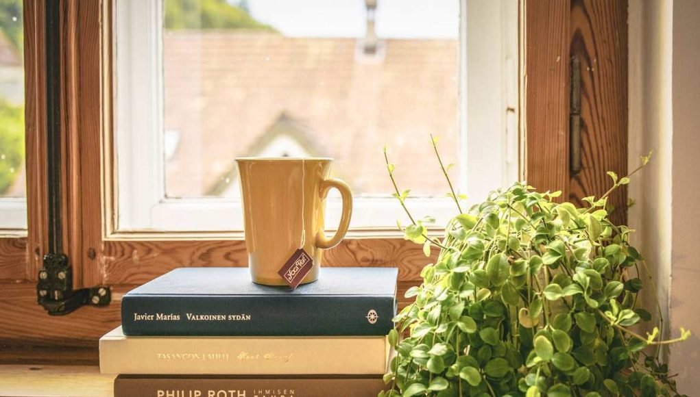 knjige-solja-cvece-prozor