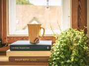 knjige-solja-cvece-prozor