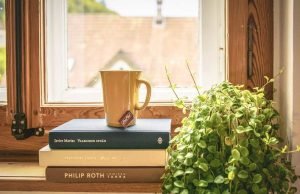 knjige-solja-cvece-prozor